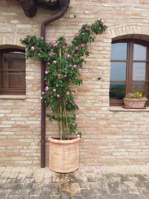 Agriturismo San Pierino Monteroni d'Arbia Exterior photo